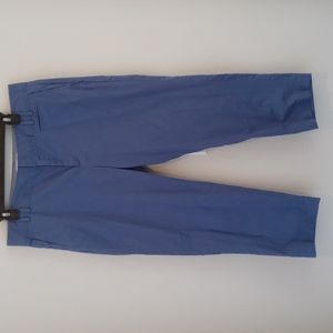 Banana Republic Capri pants